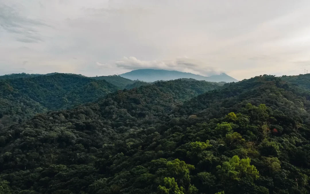 Zona de Desarrollo Futuro: Ruta del Bálsamo